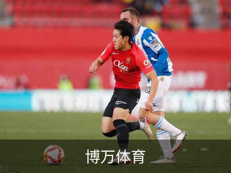 博万体育概况